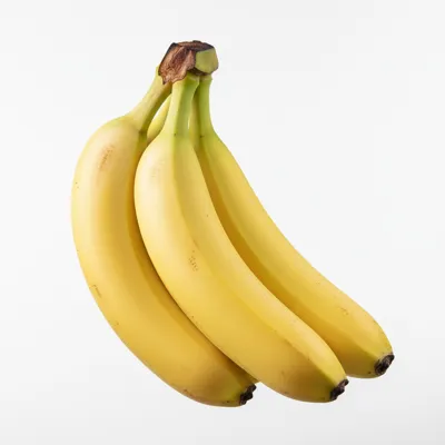 Fresh bananas on a bunch