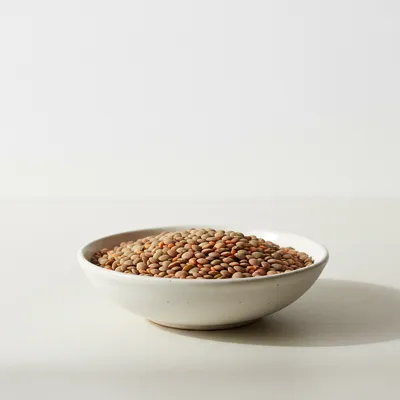 Bowl of dry lentils