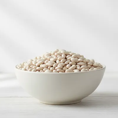 Dry navy beans in a bowl