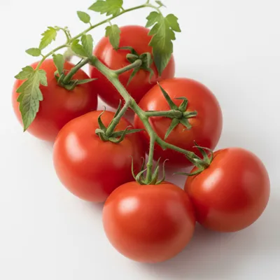 Fresh tomatoes on a vine