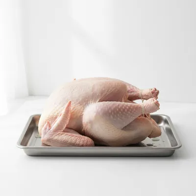 Raw whole turkey on a tray